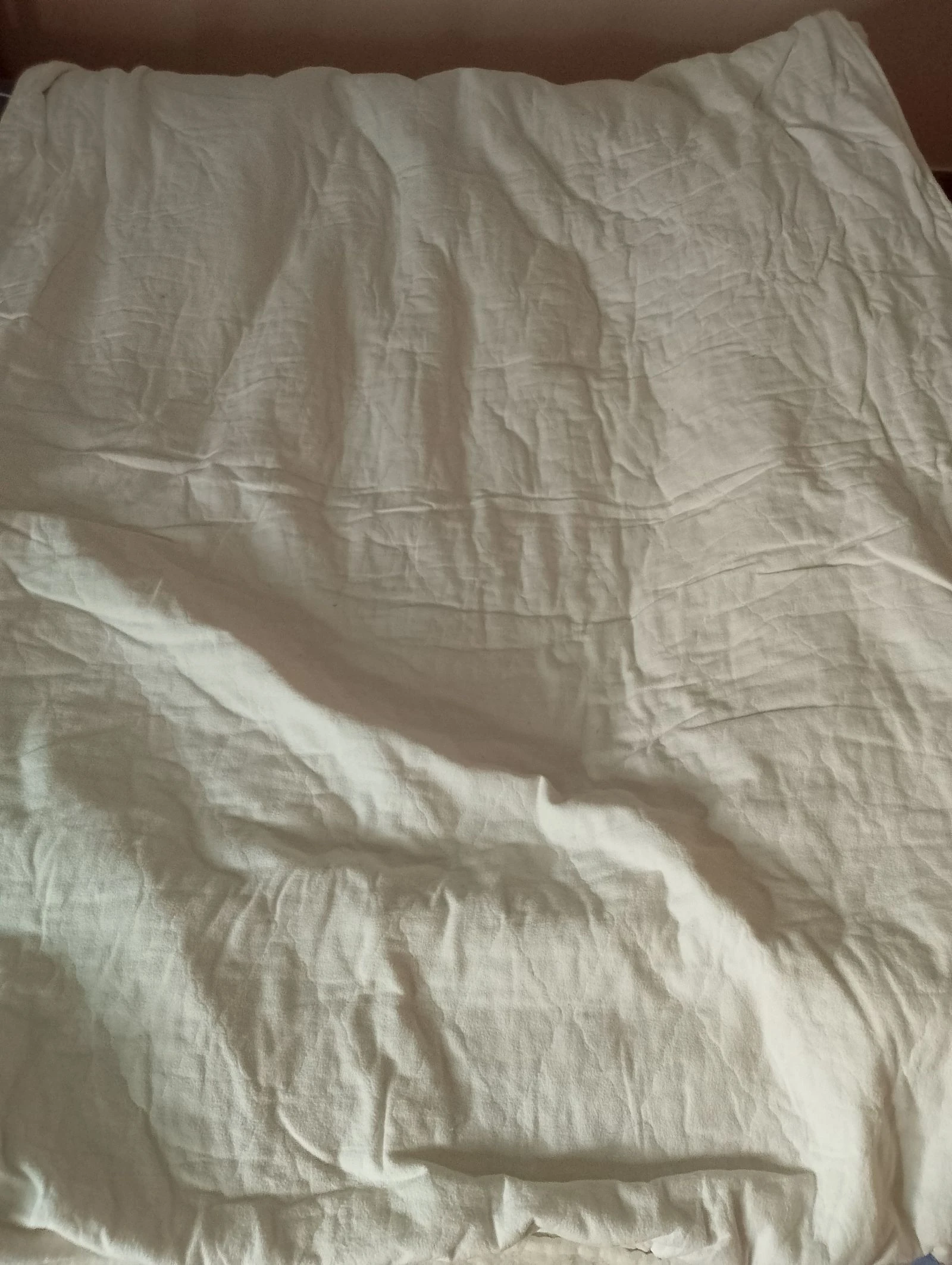 Surmatelas de pura lã virgem Planeta 140x190cm – photo 3